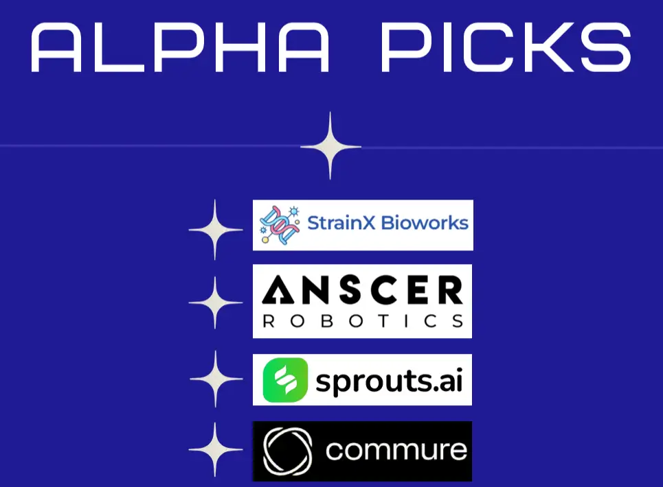 Alpha Picks (May Series 2)